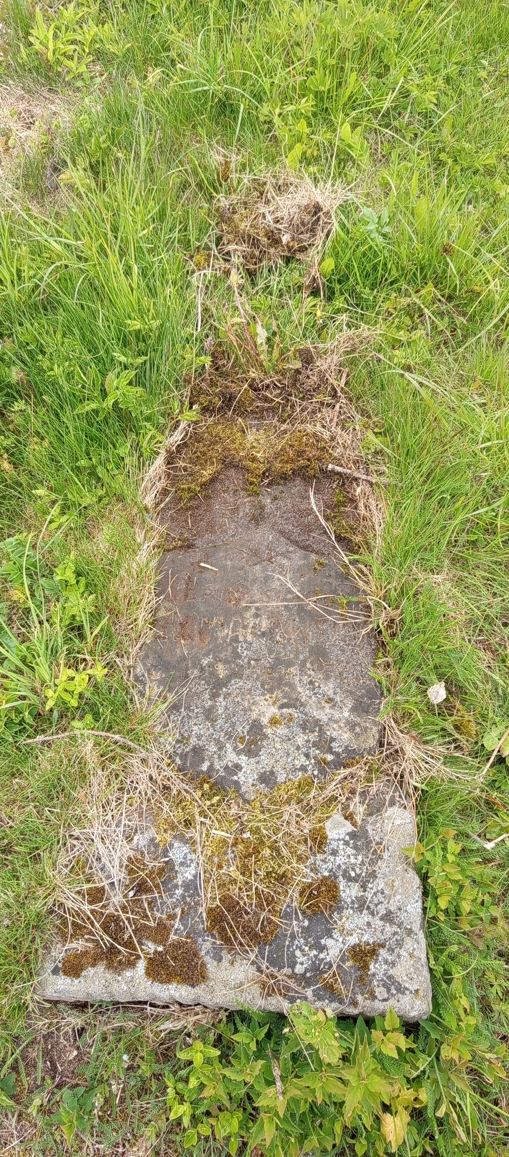 Фотография надгробия