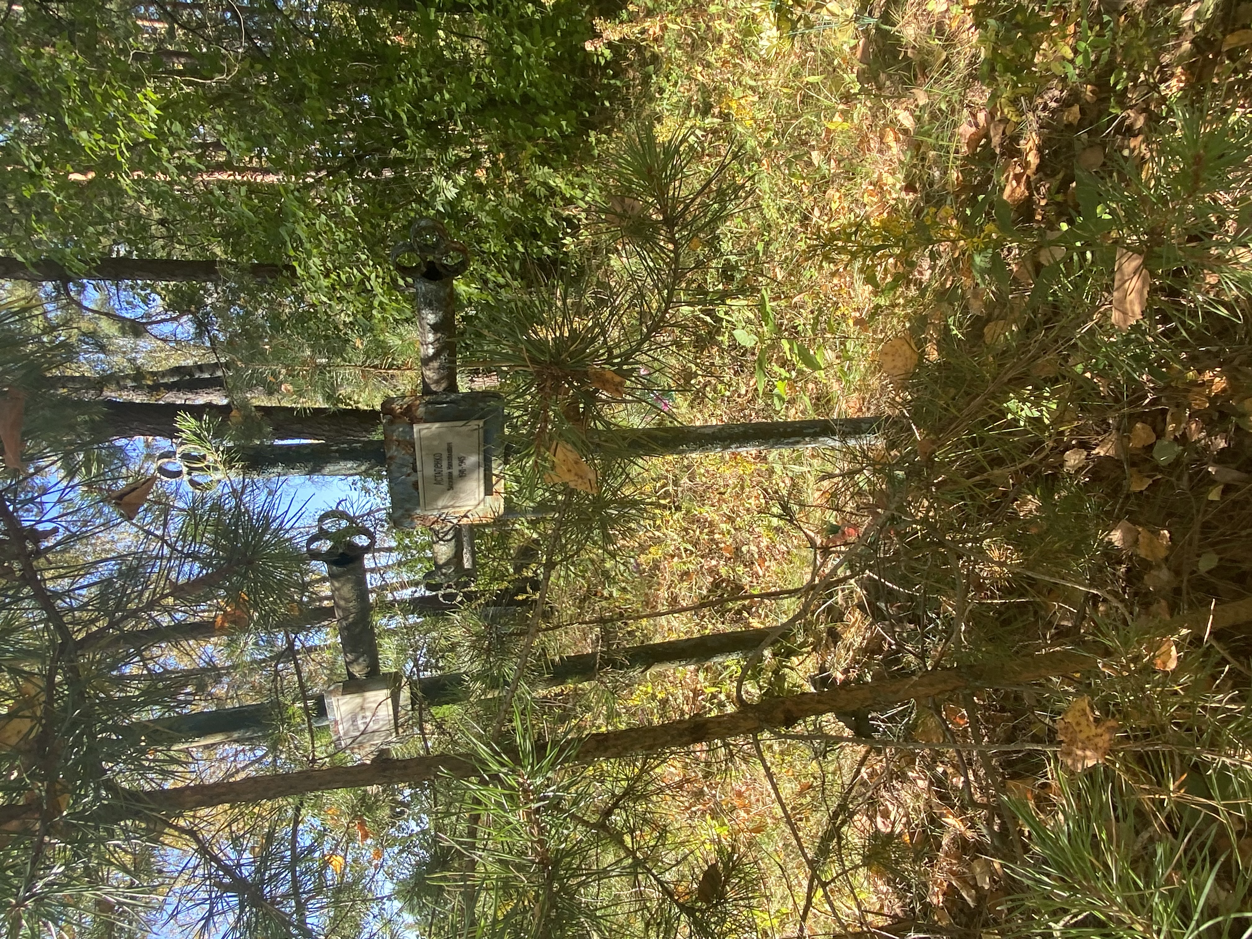 Фотография надгробия