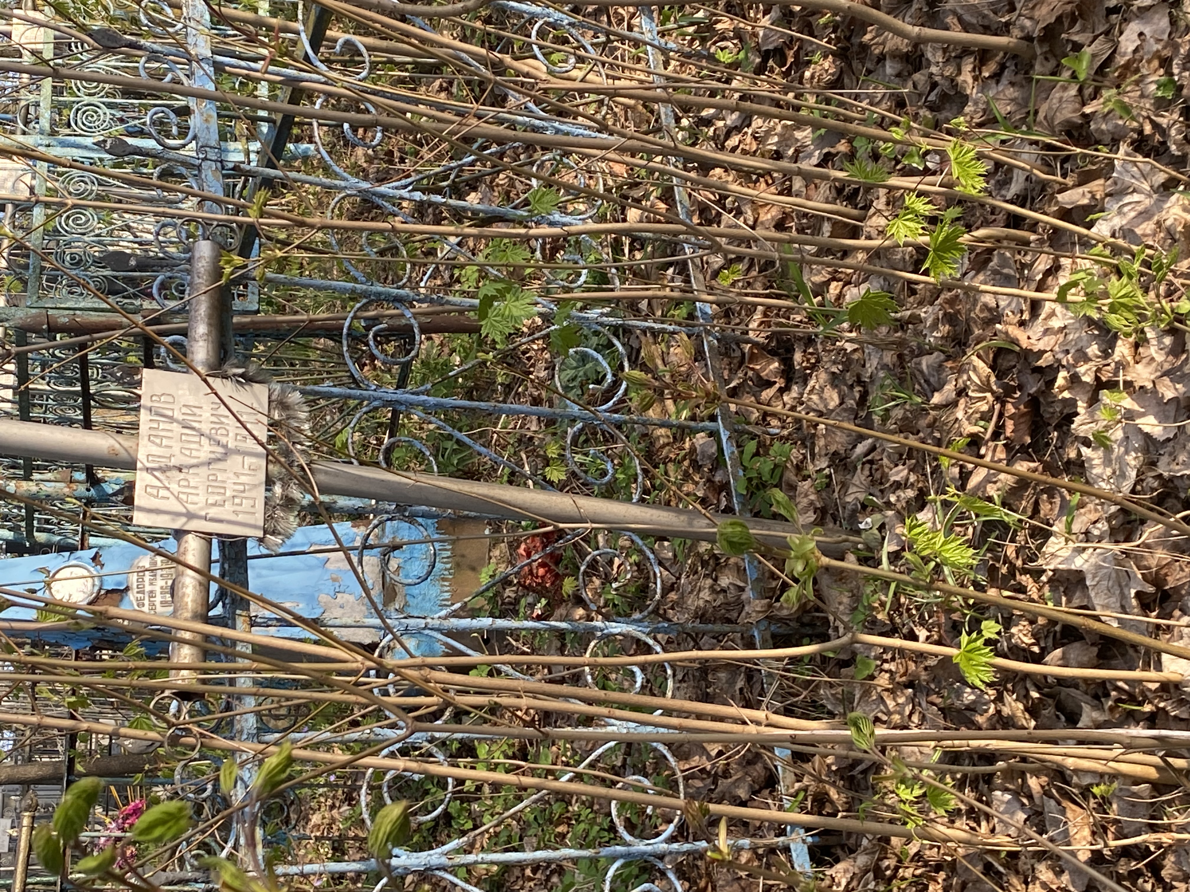 Фотография надгробия