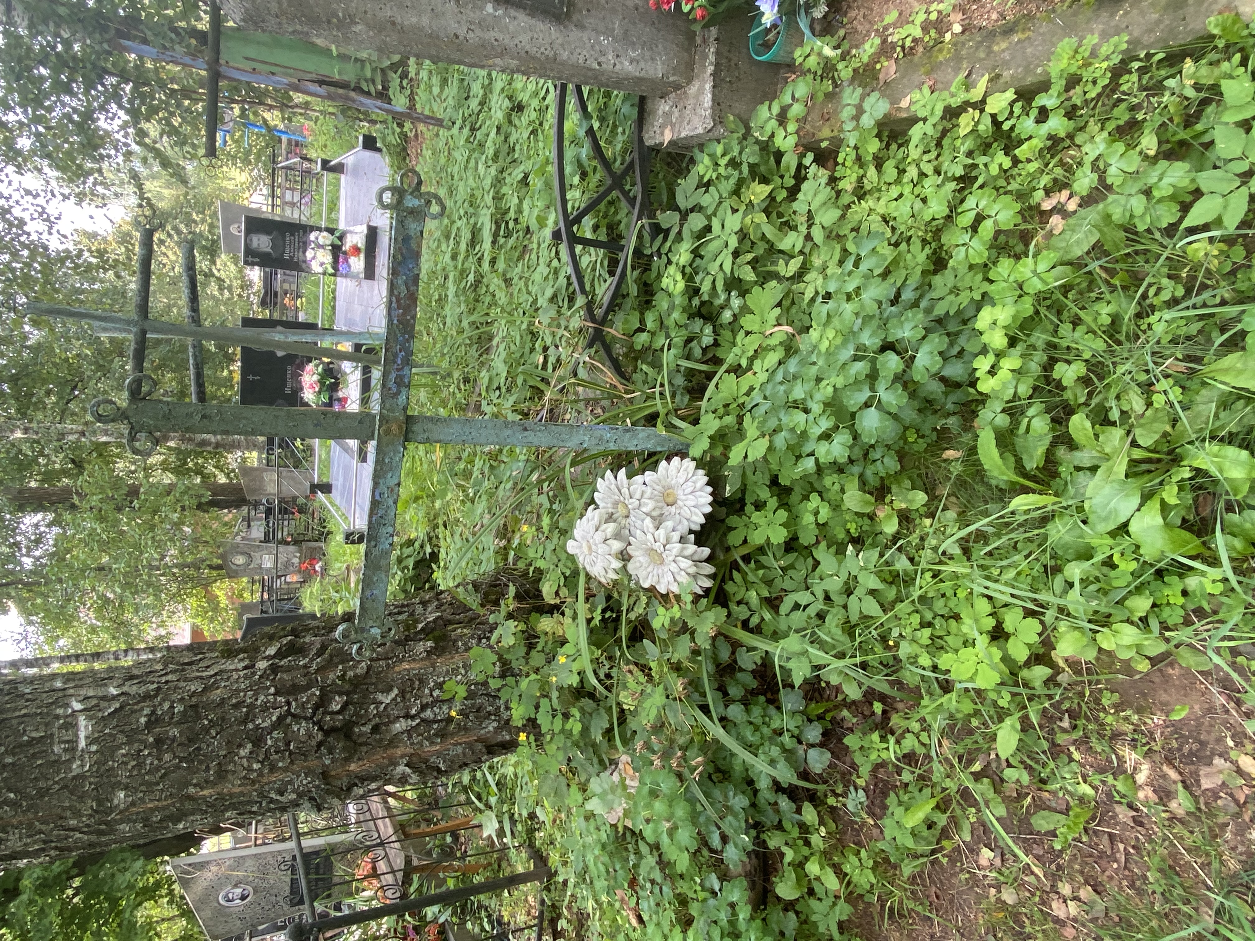 Фотография надгробия