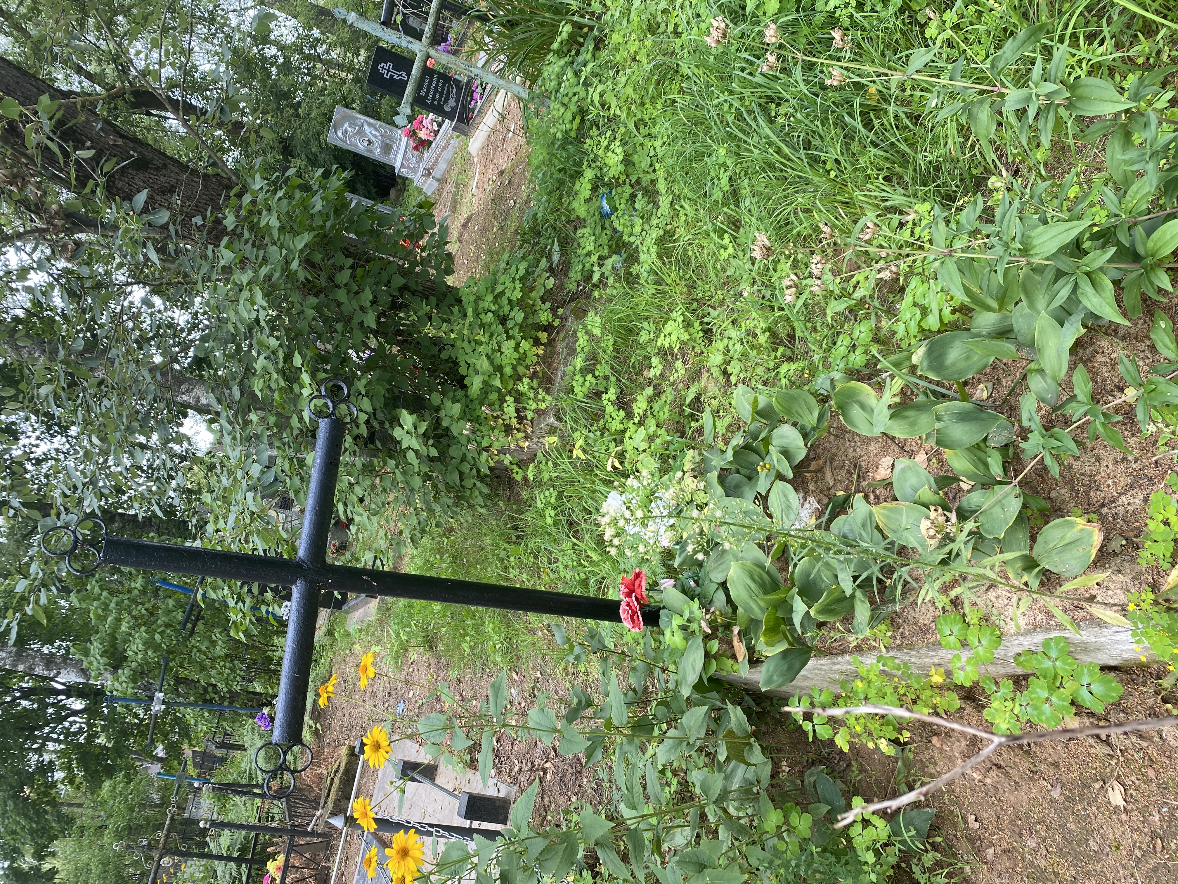 Фотография надгробия