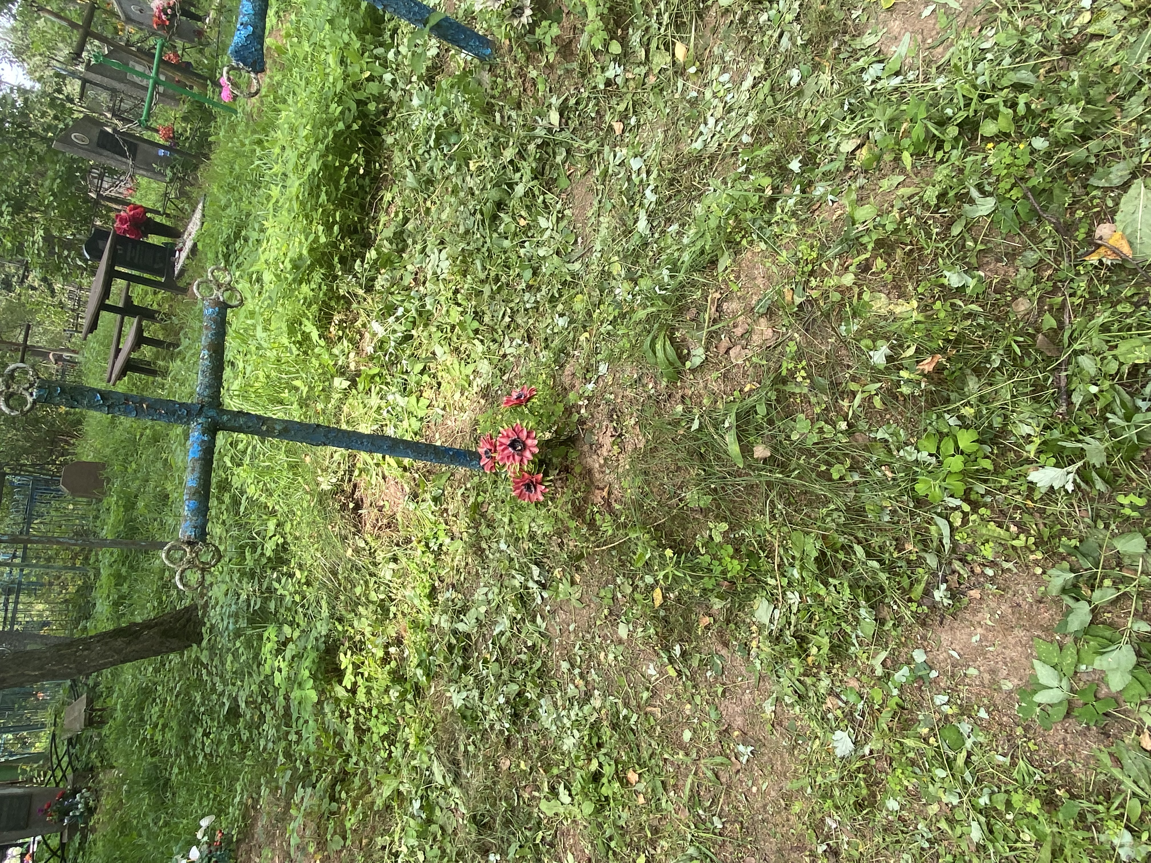 Фотография надгробия