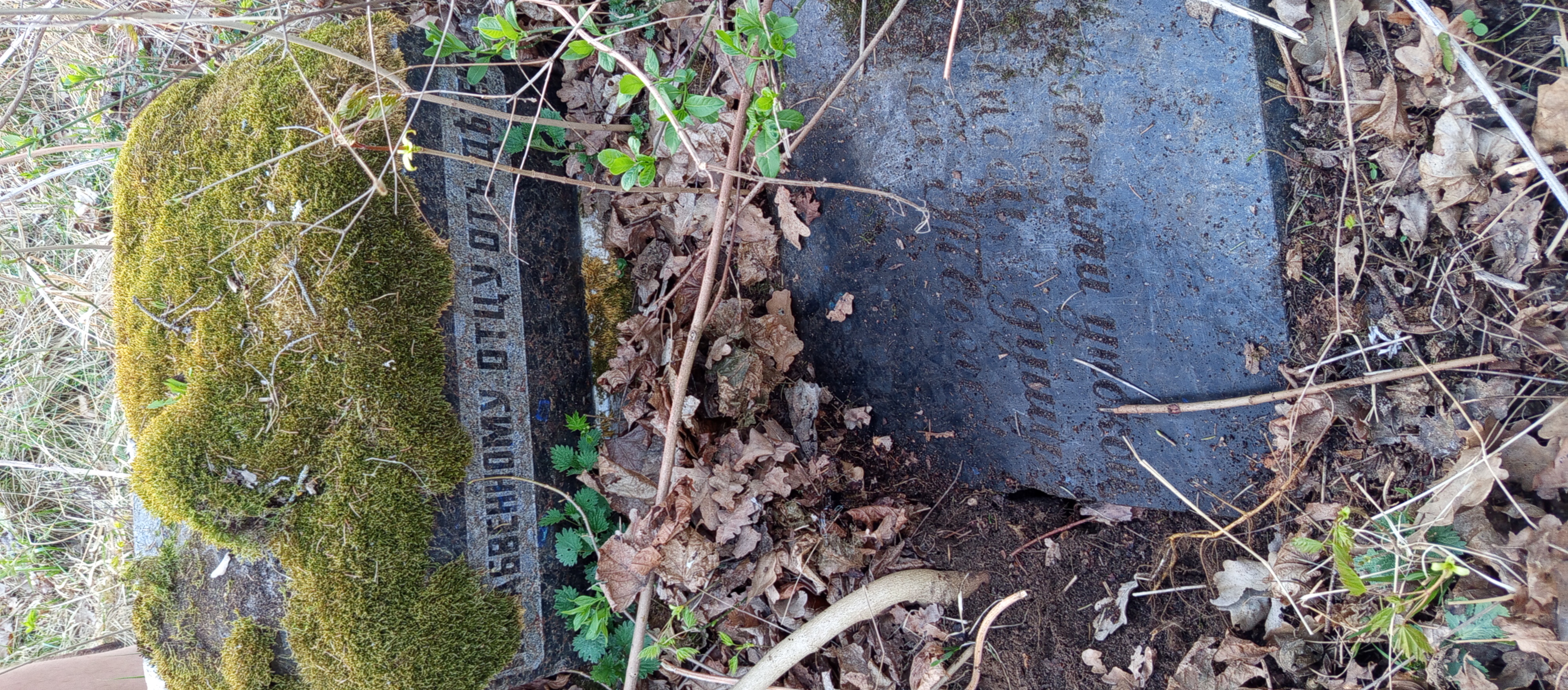 Фотография надгробия