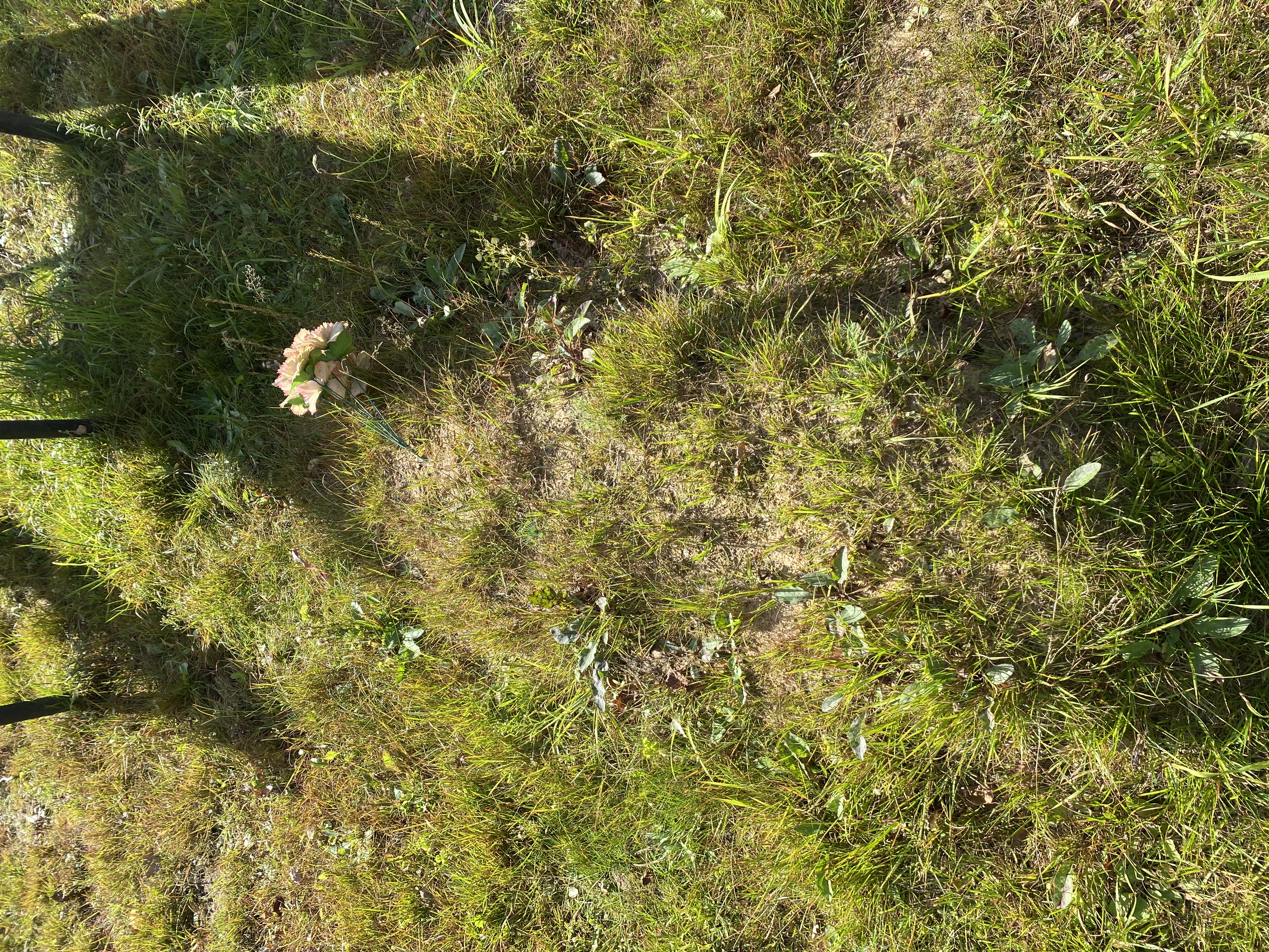 Фотография надгробия