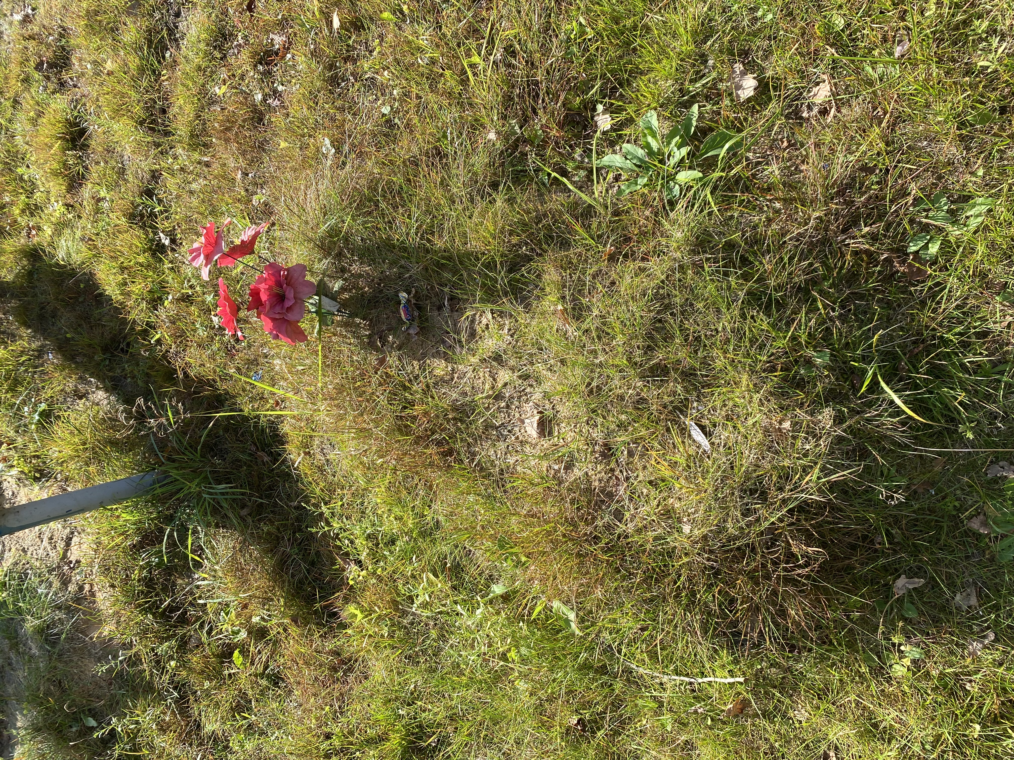 Фотография надгробия