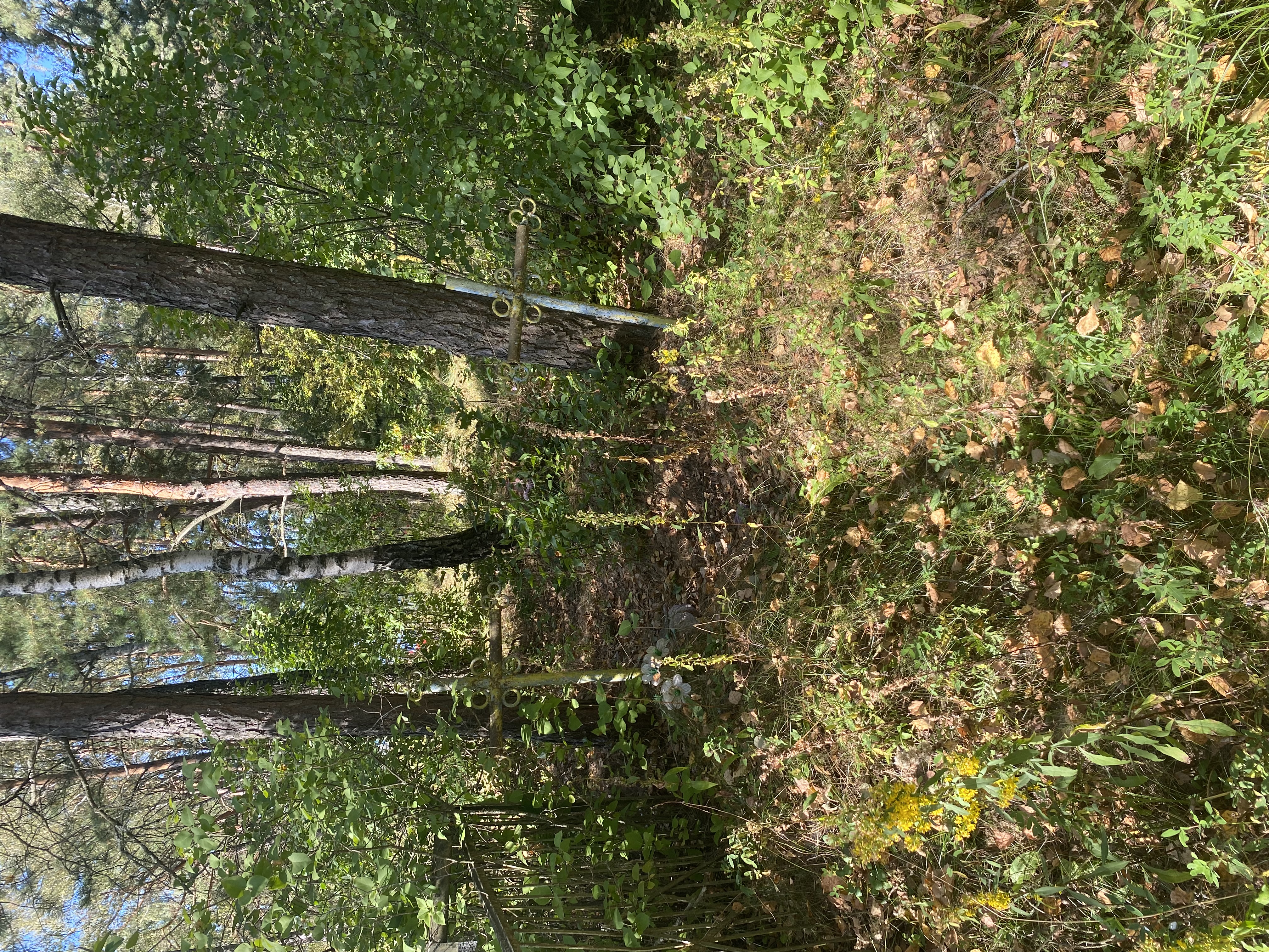 Фотография надгробия