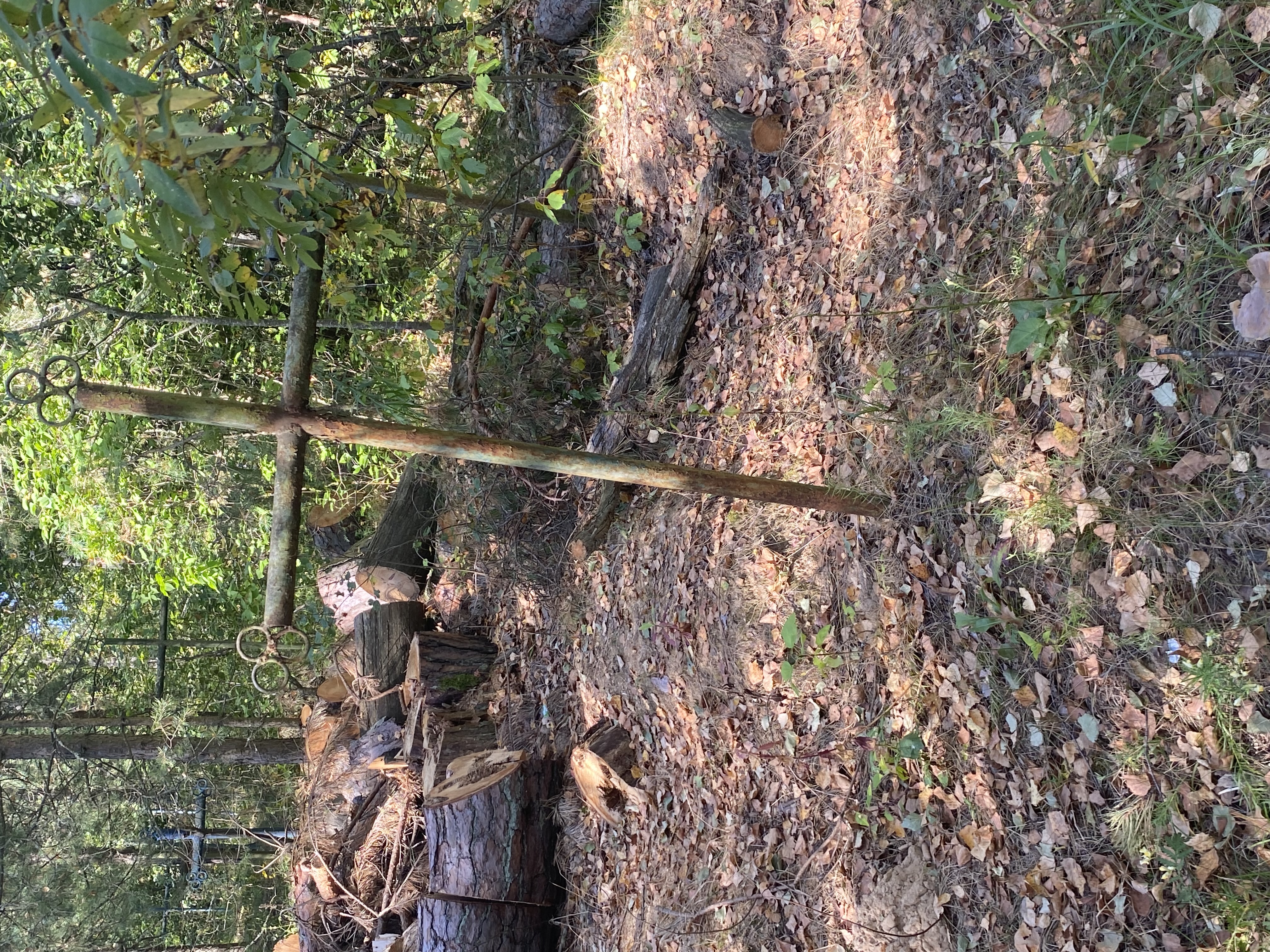 Фотография надгробия