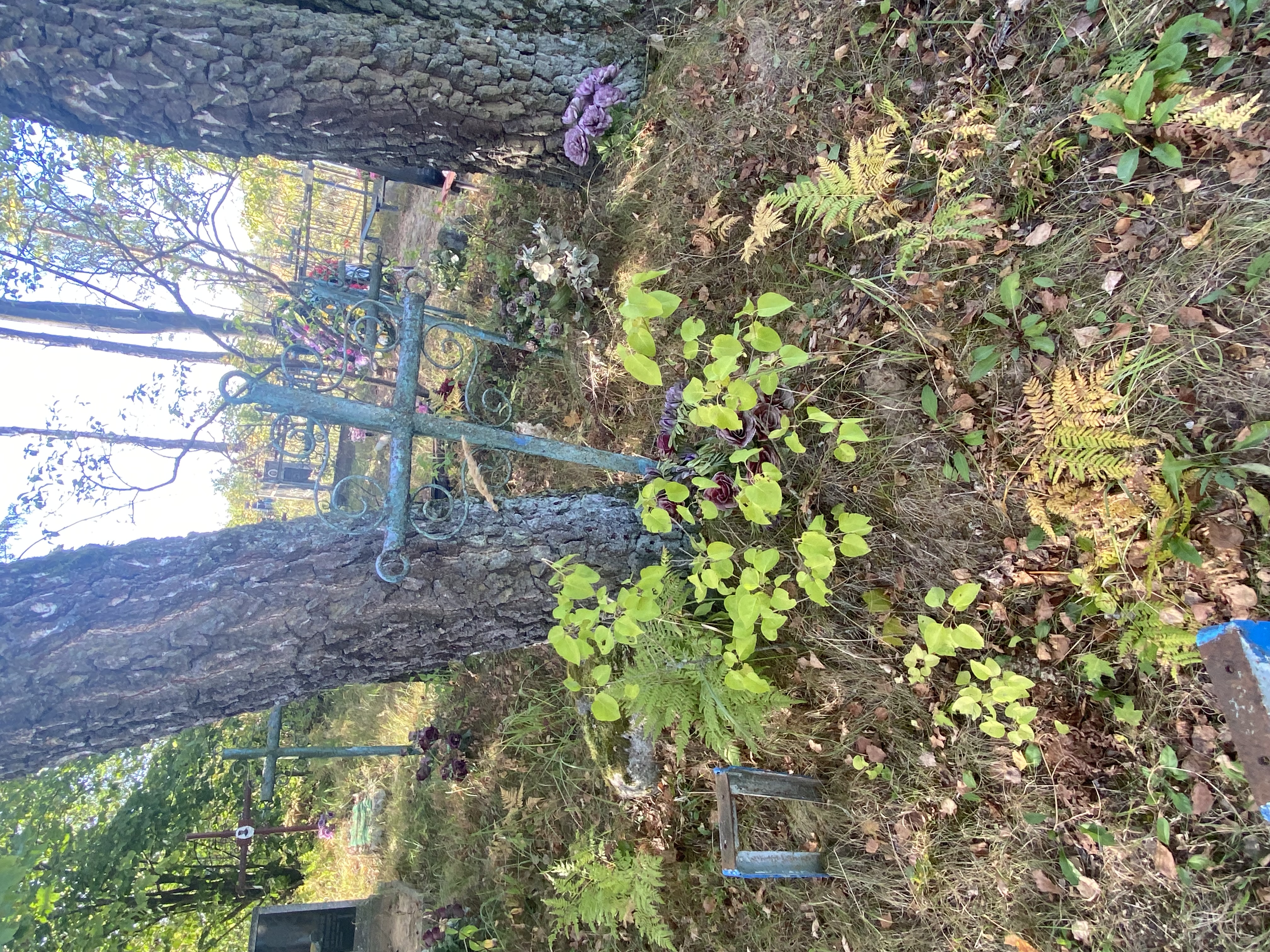 Фотография надгробия