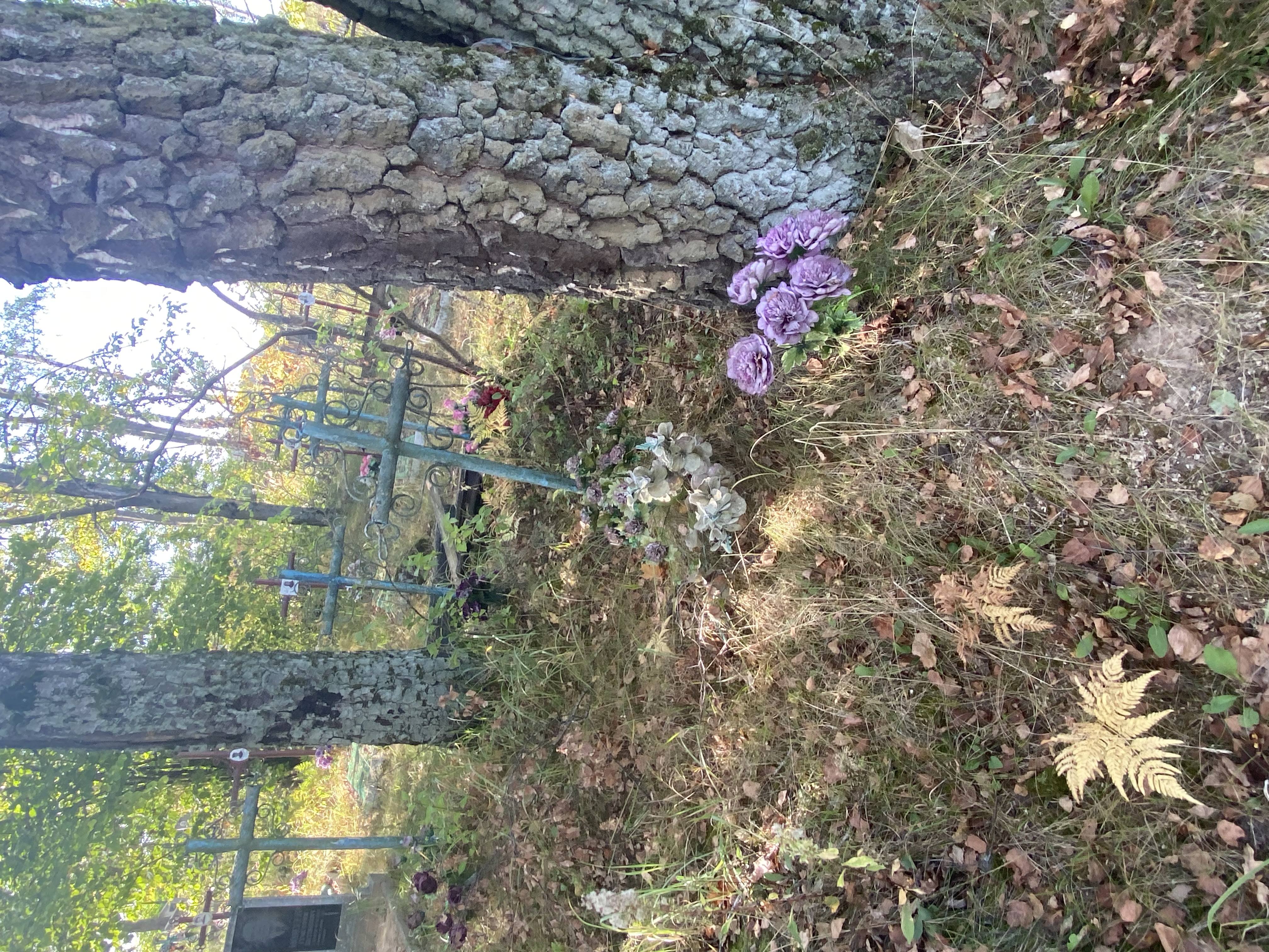 Фотография надгробия