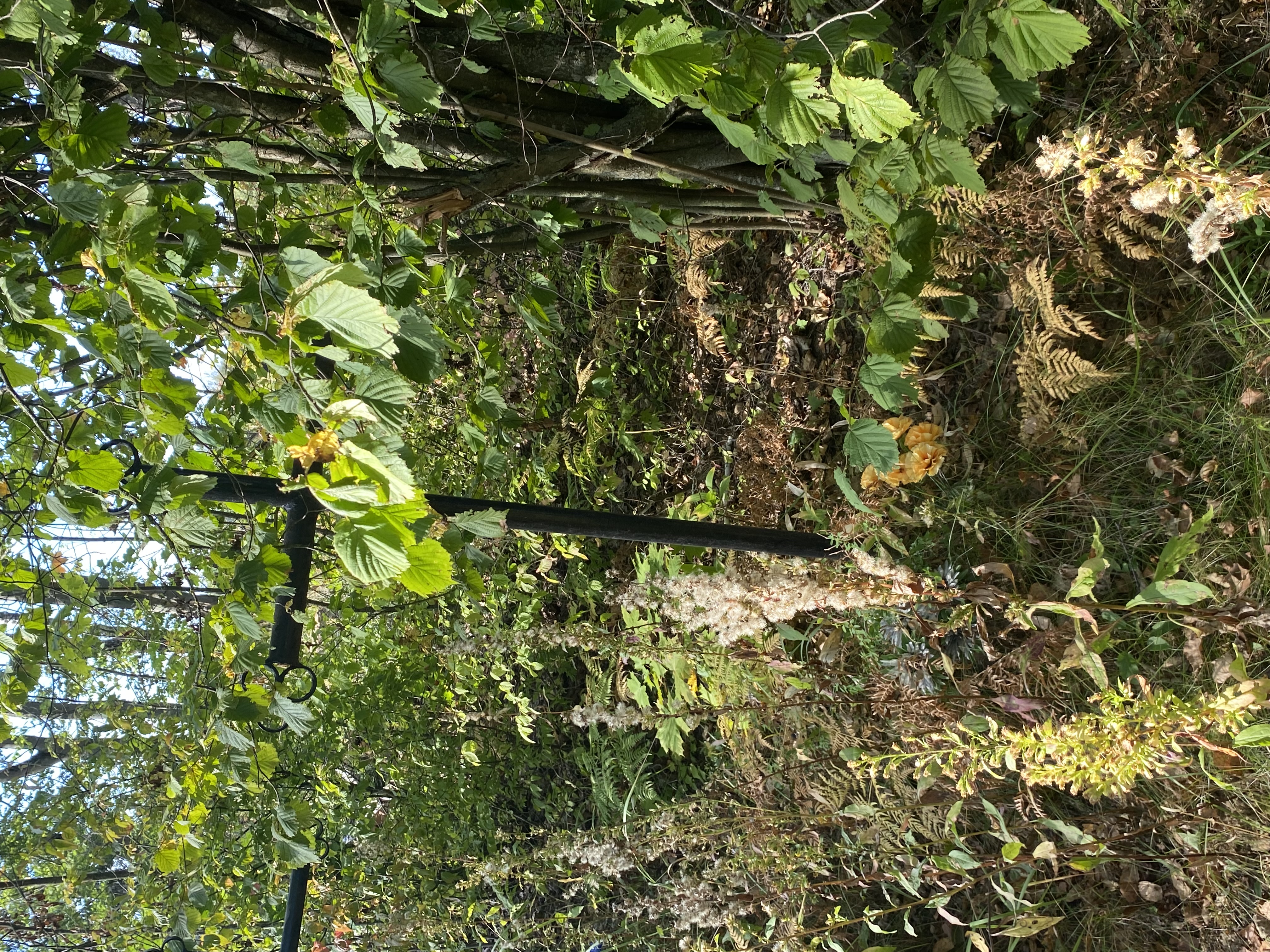 Фотография надгробия