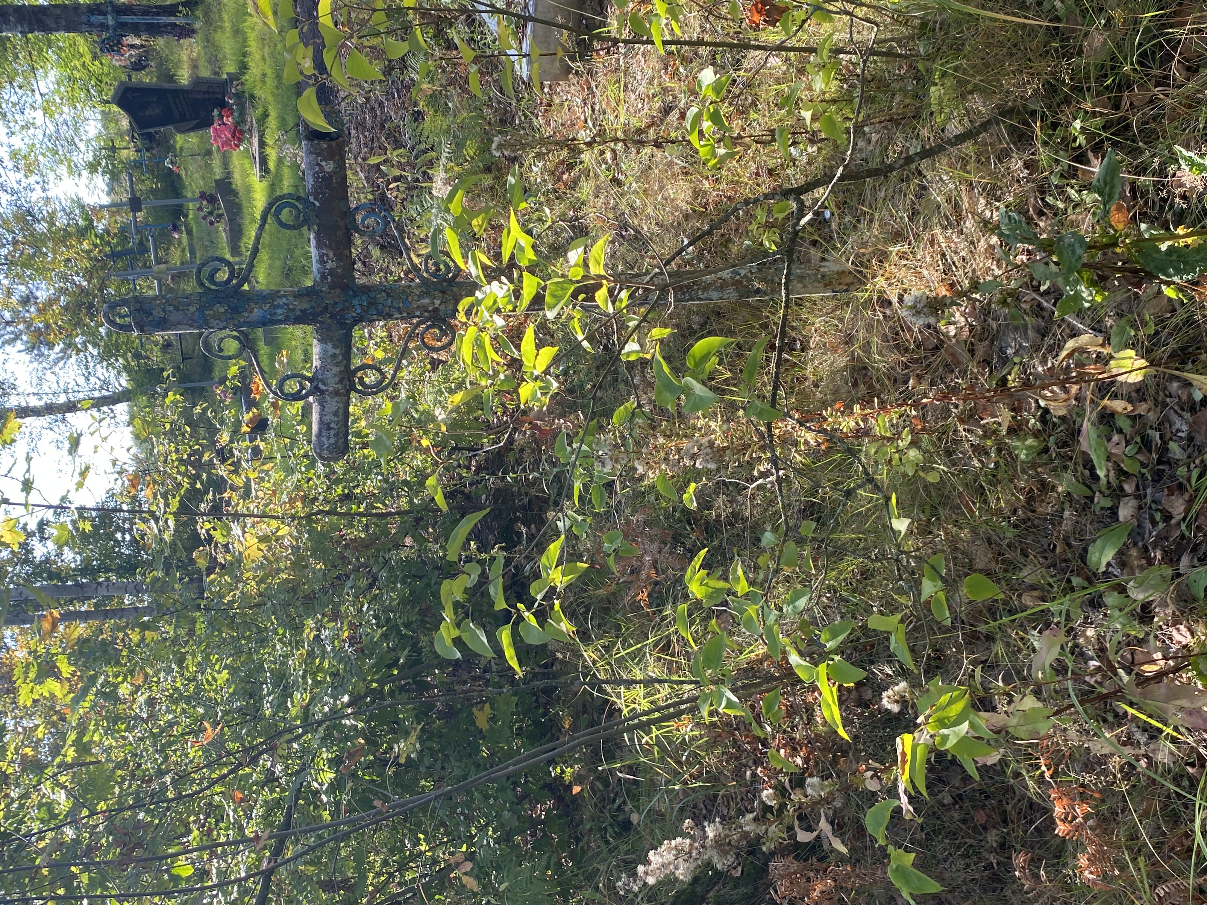 Фотография надгробия