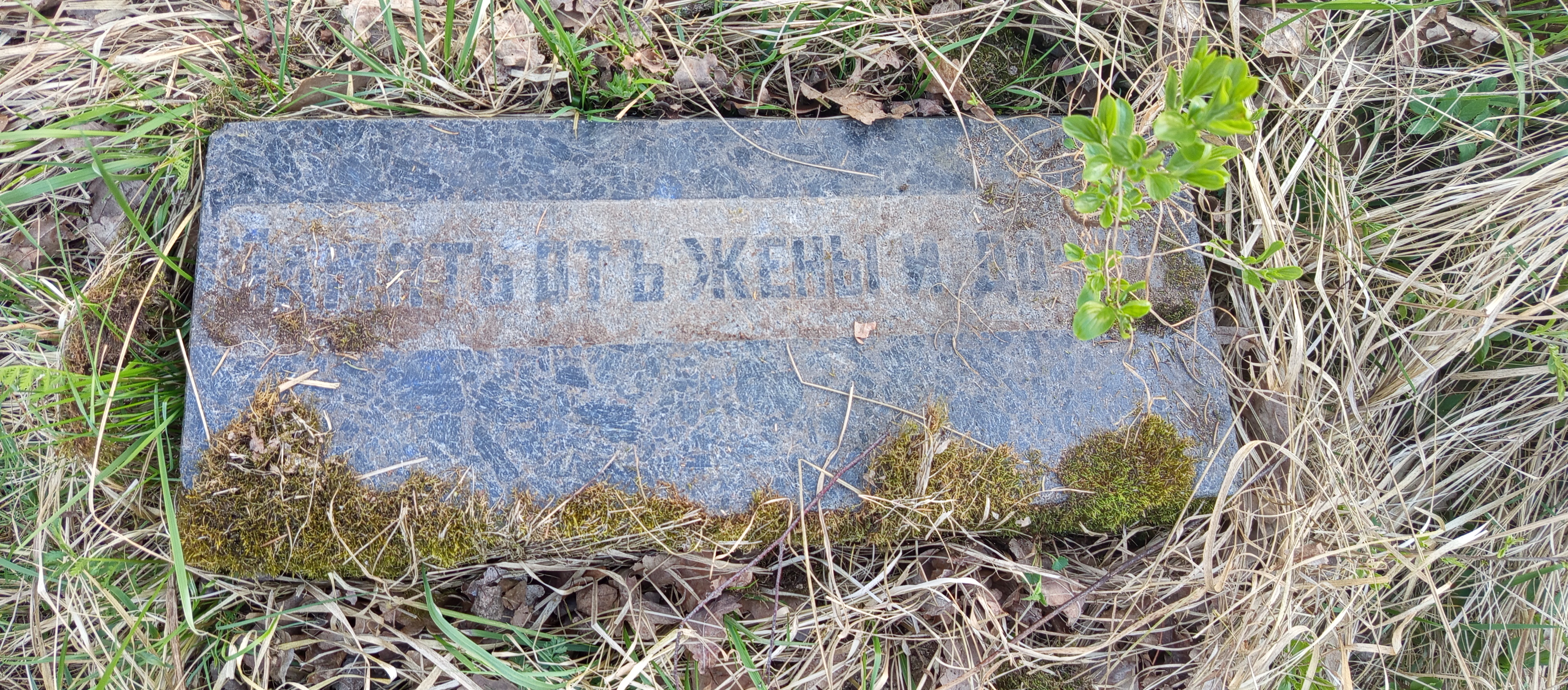 Фотография надгробия