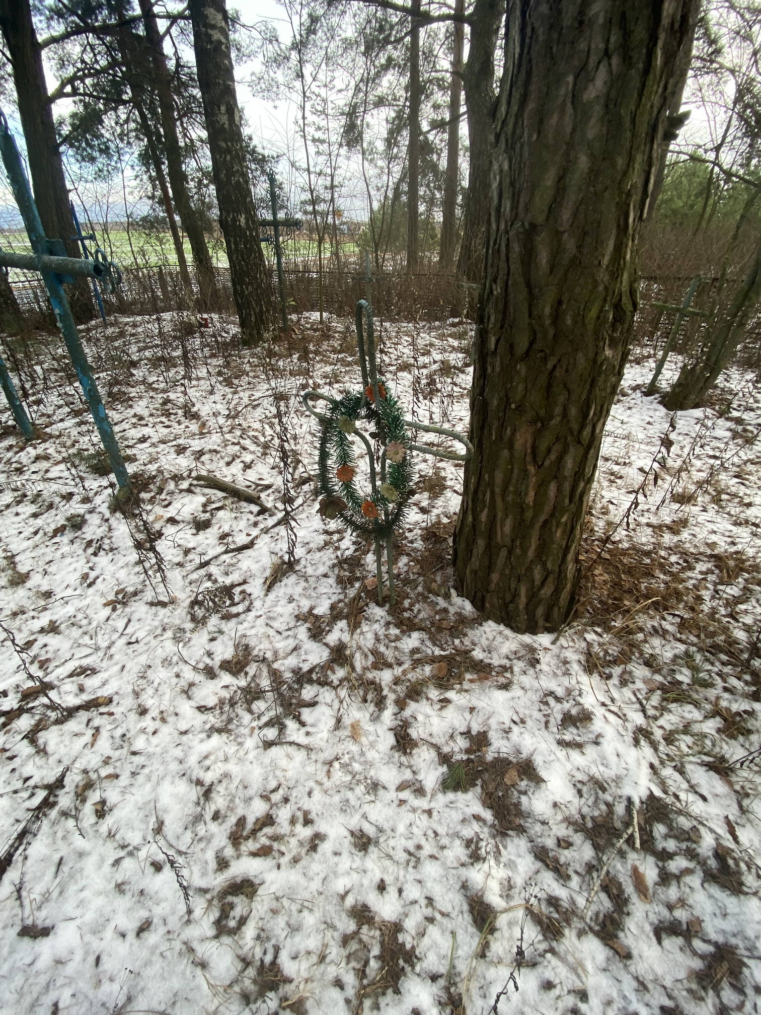 Фотография надгробия