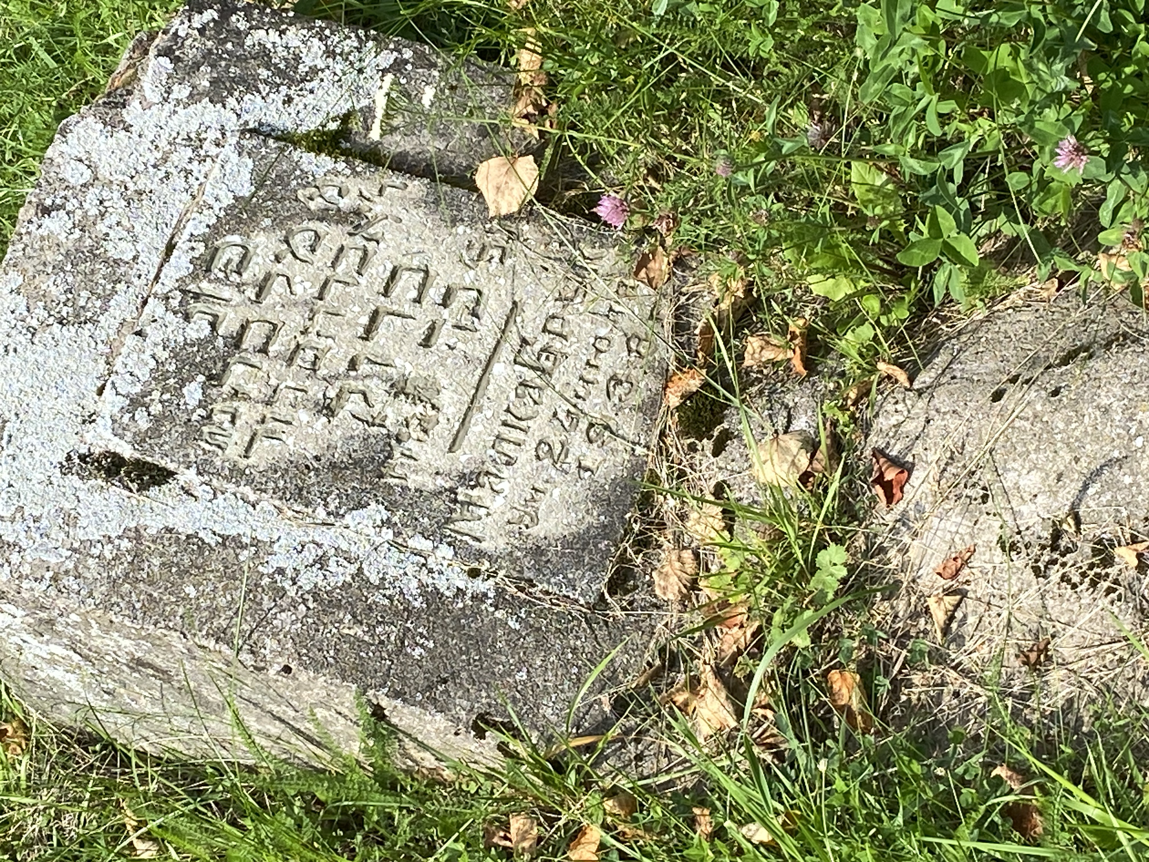 Фотография надгробия