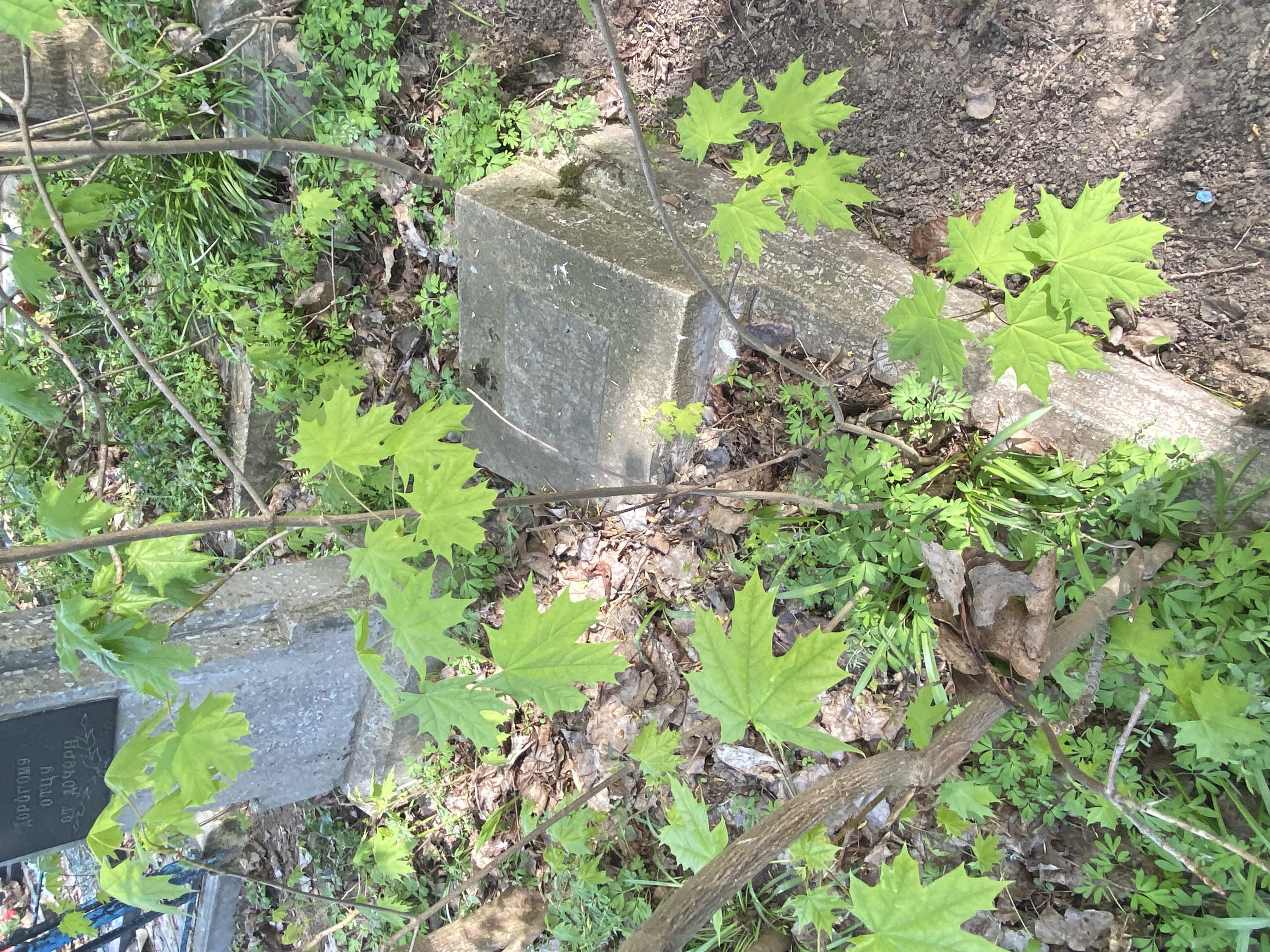 Фотография надгробия