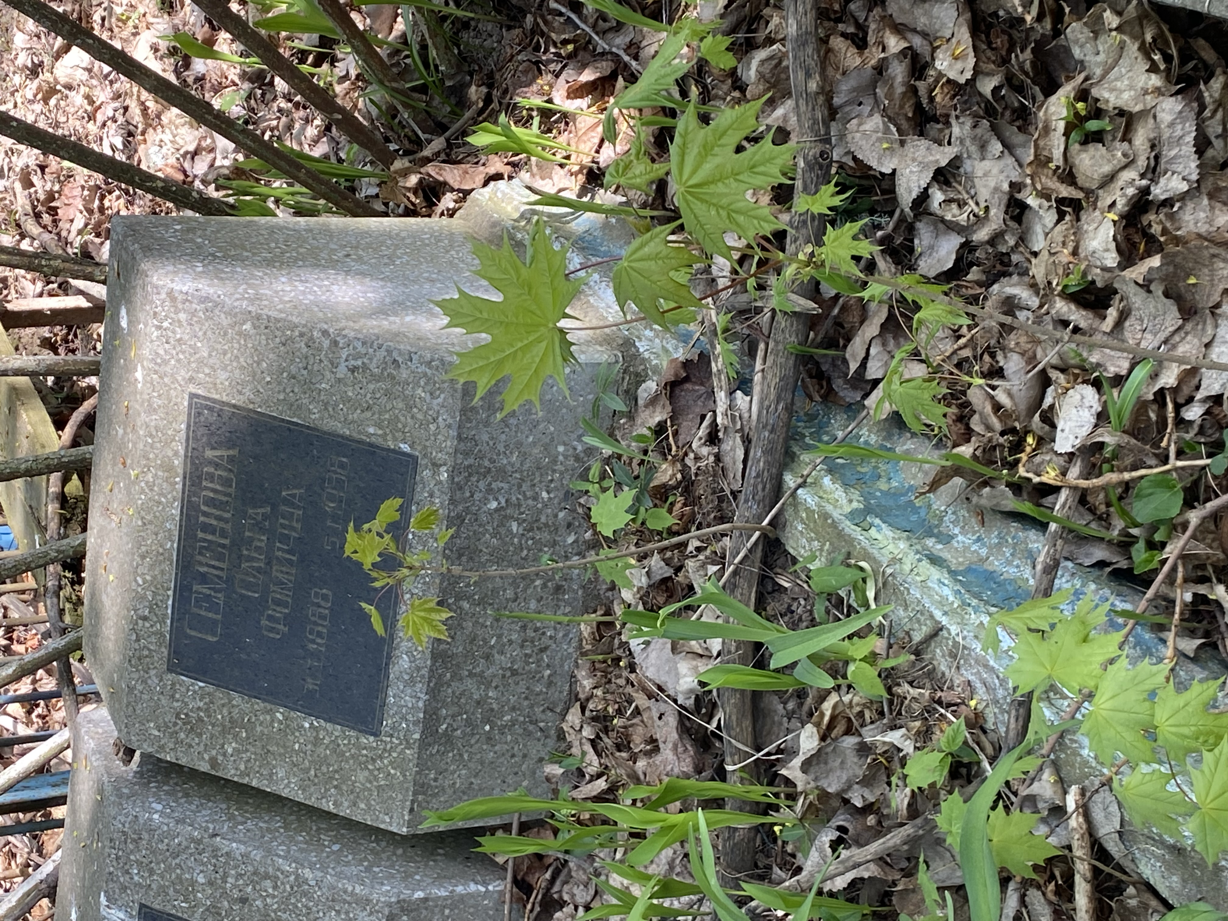 Фотография надгробия