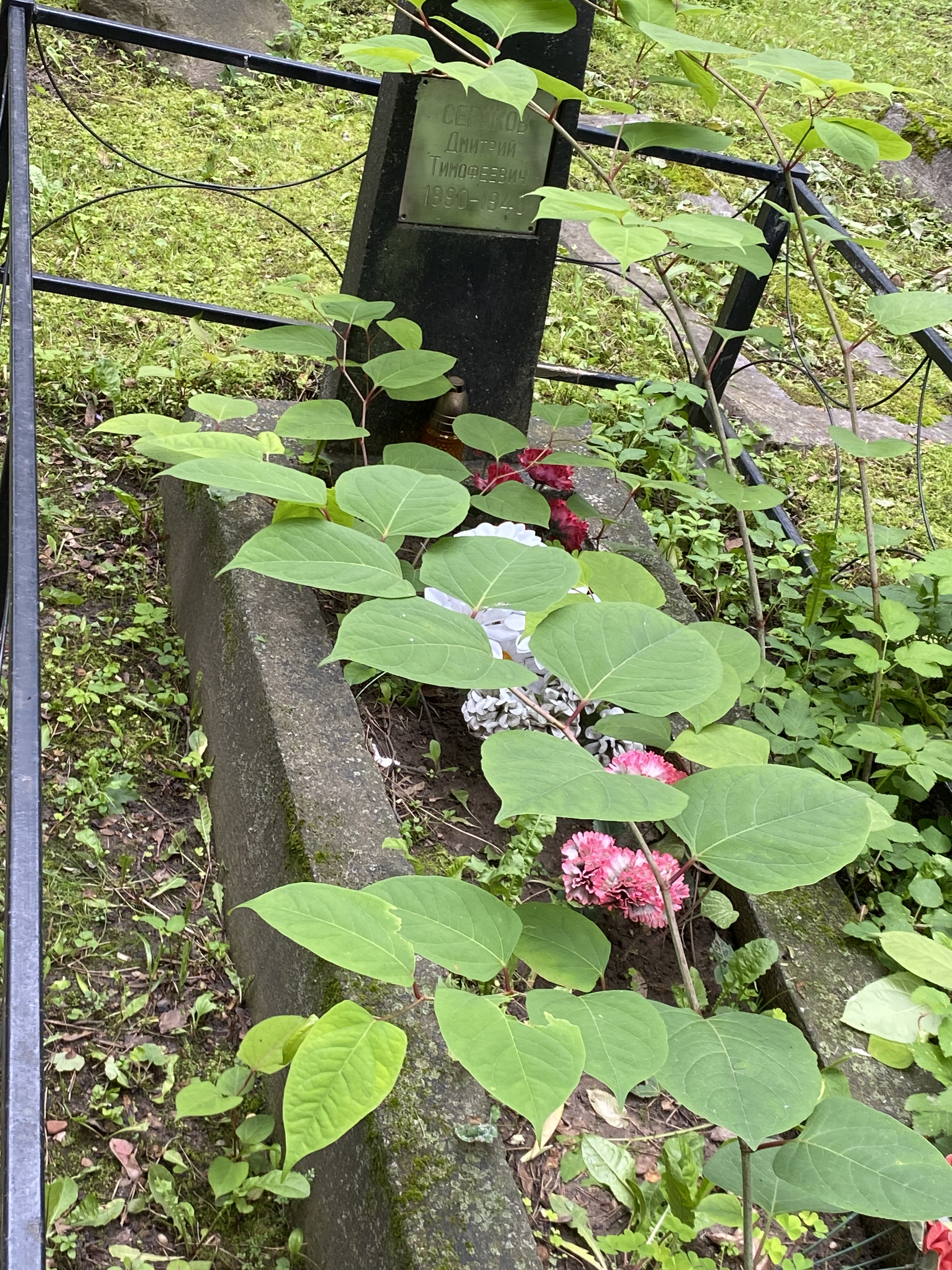 Фотография надгробия