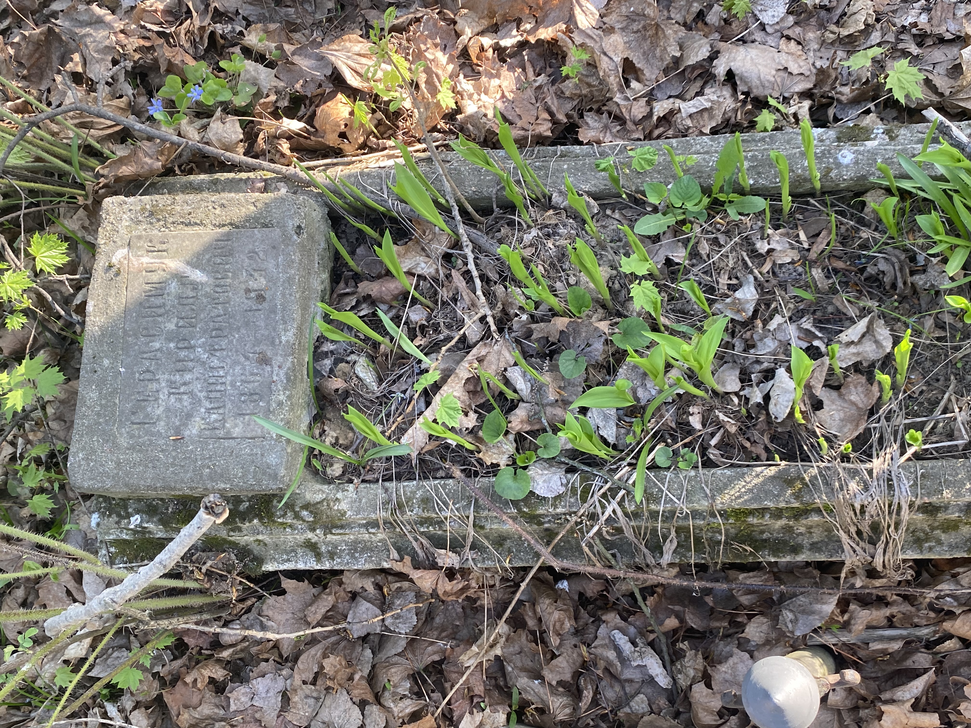 Фотография надгробия