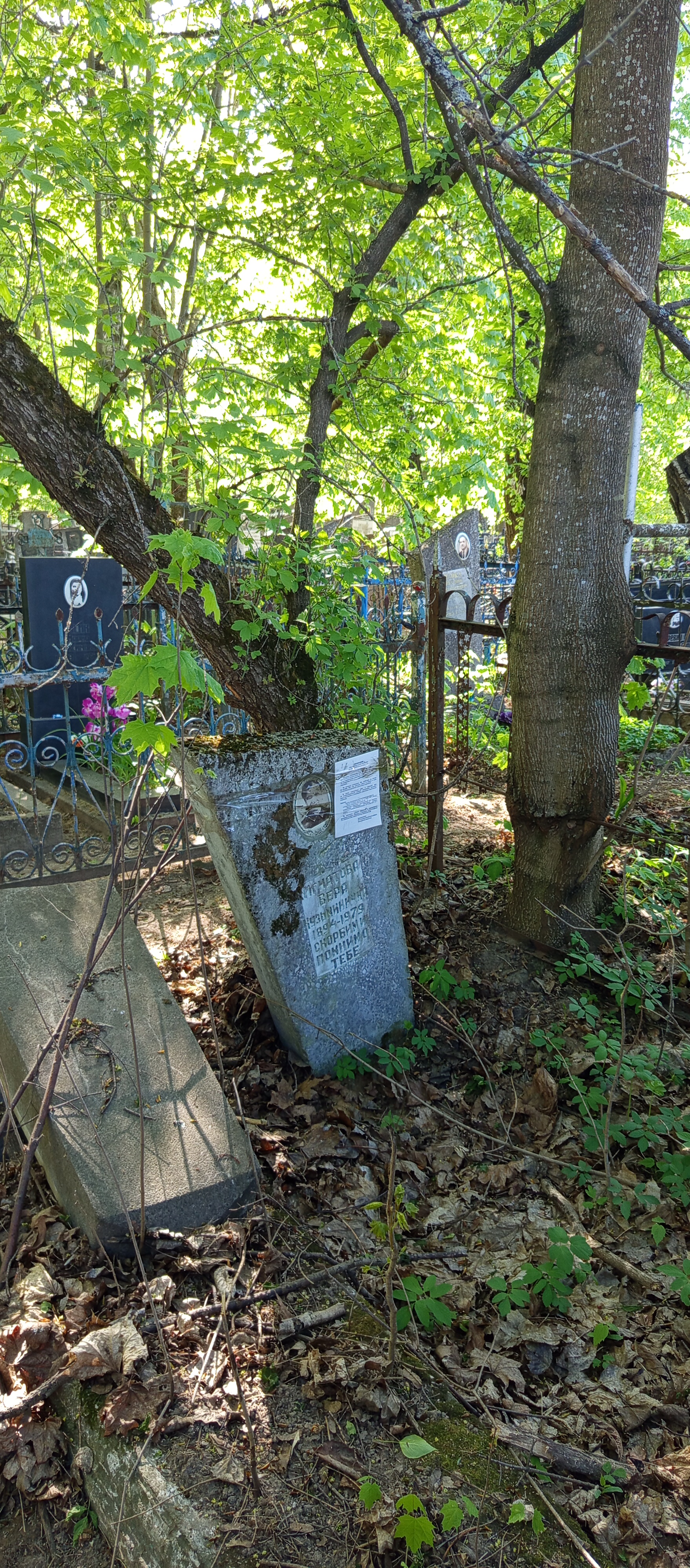 Фотография надгробия