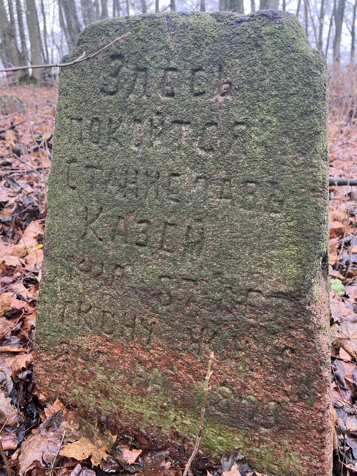 Фотография надгробия