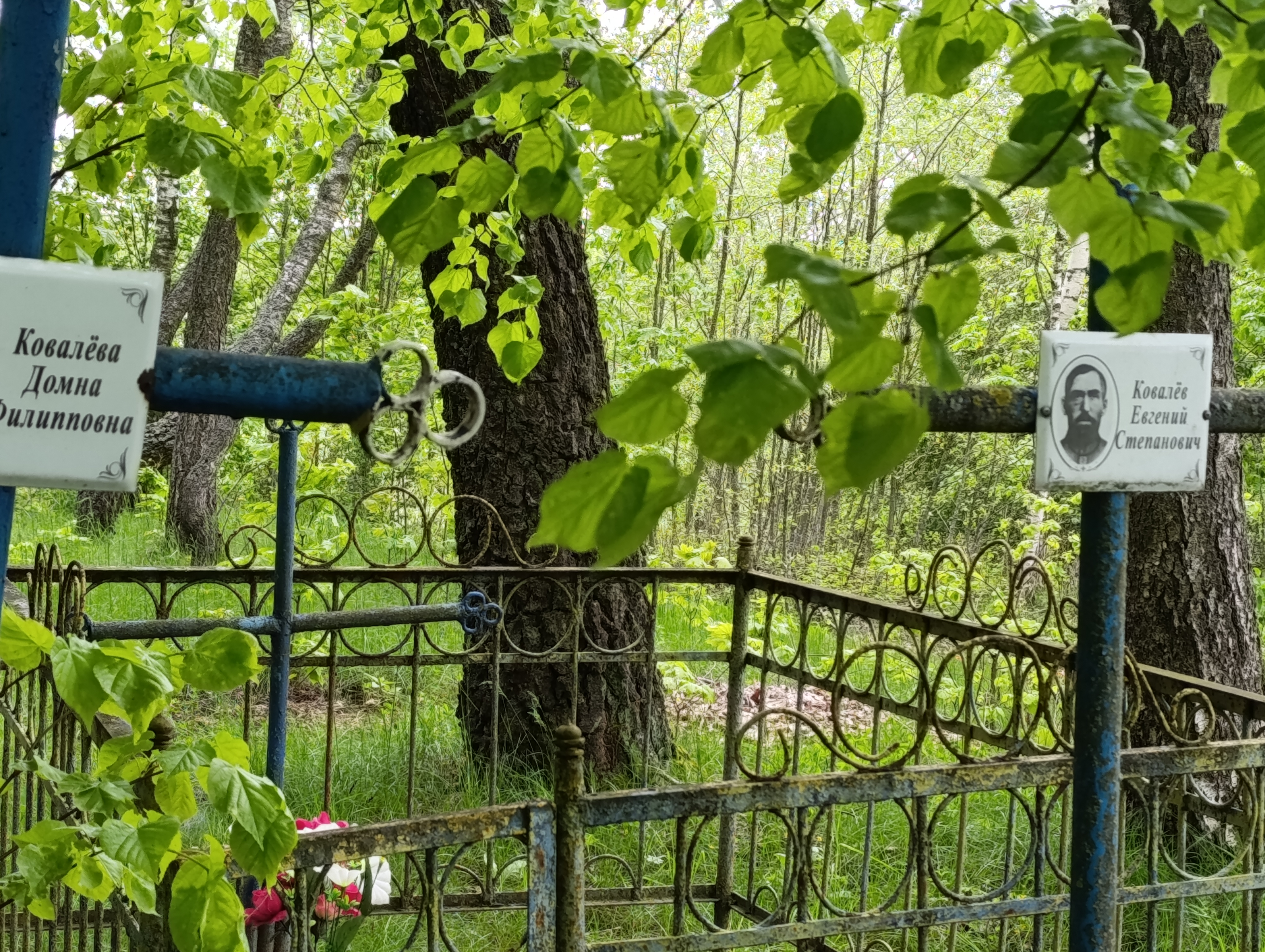 Фотография надгробия