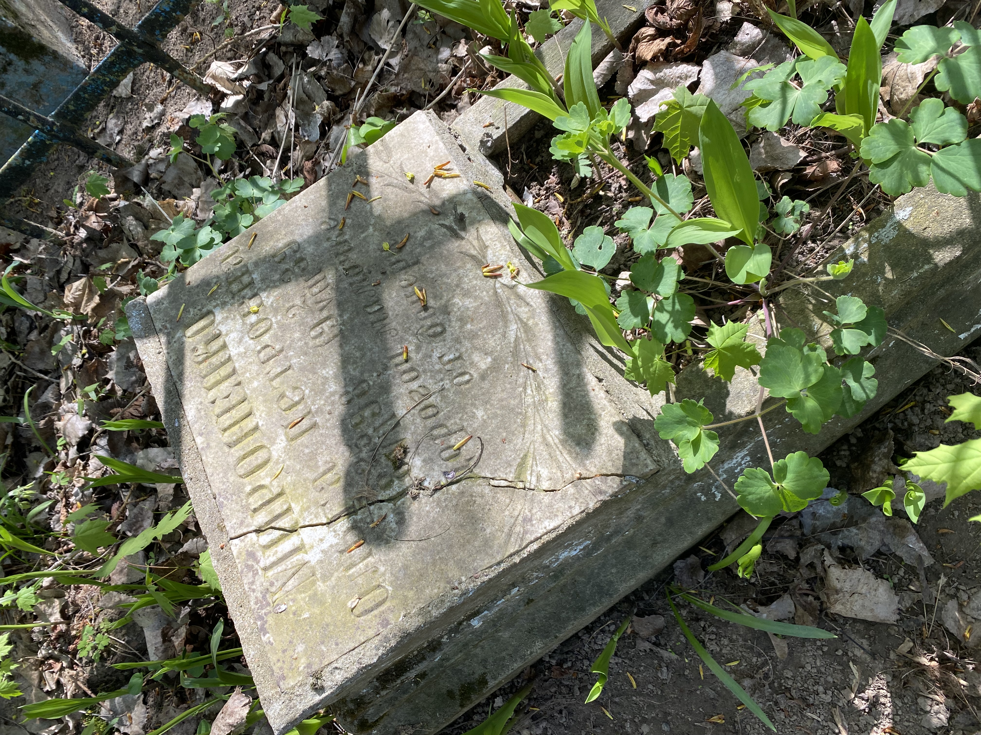 Фотография надгробия