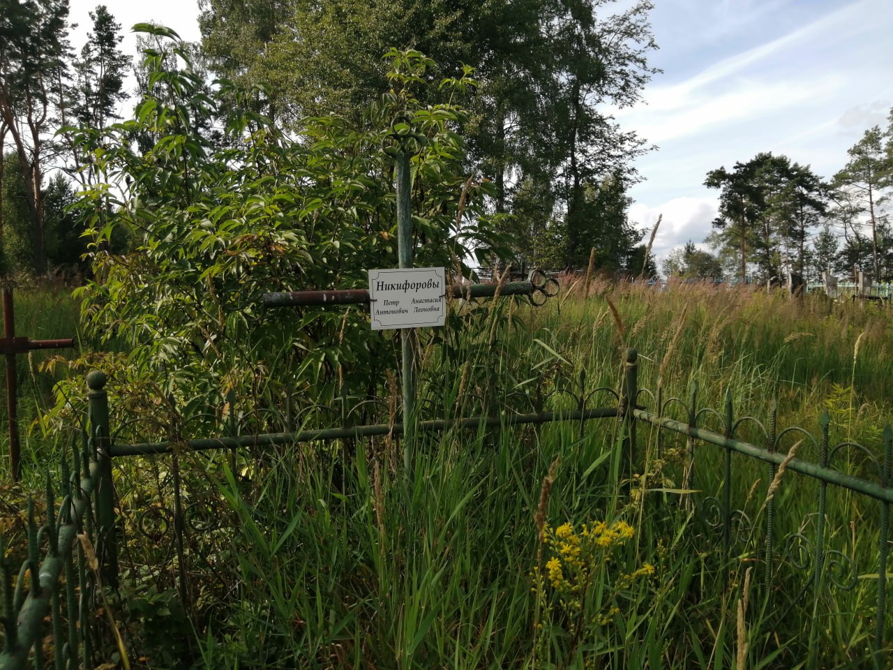 Фотография надгробия