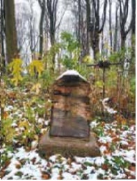 Фотография надгробия