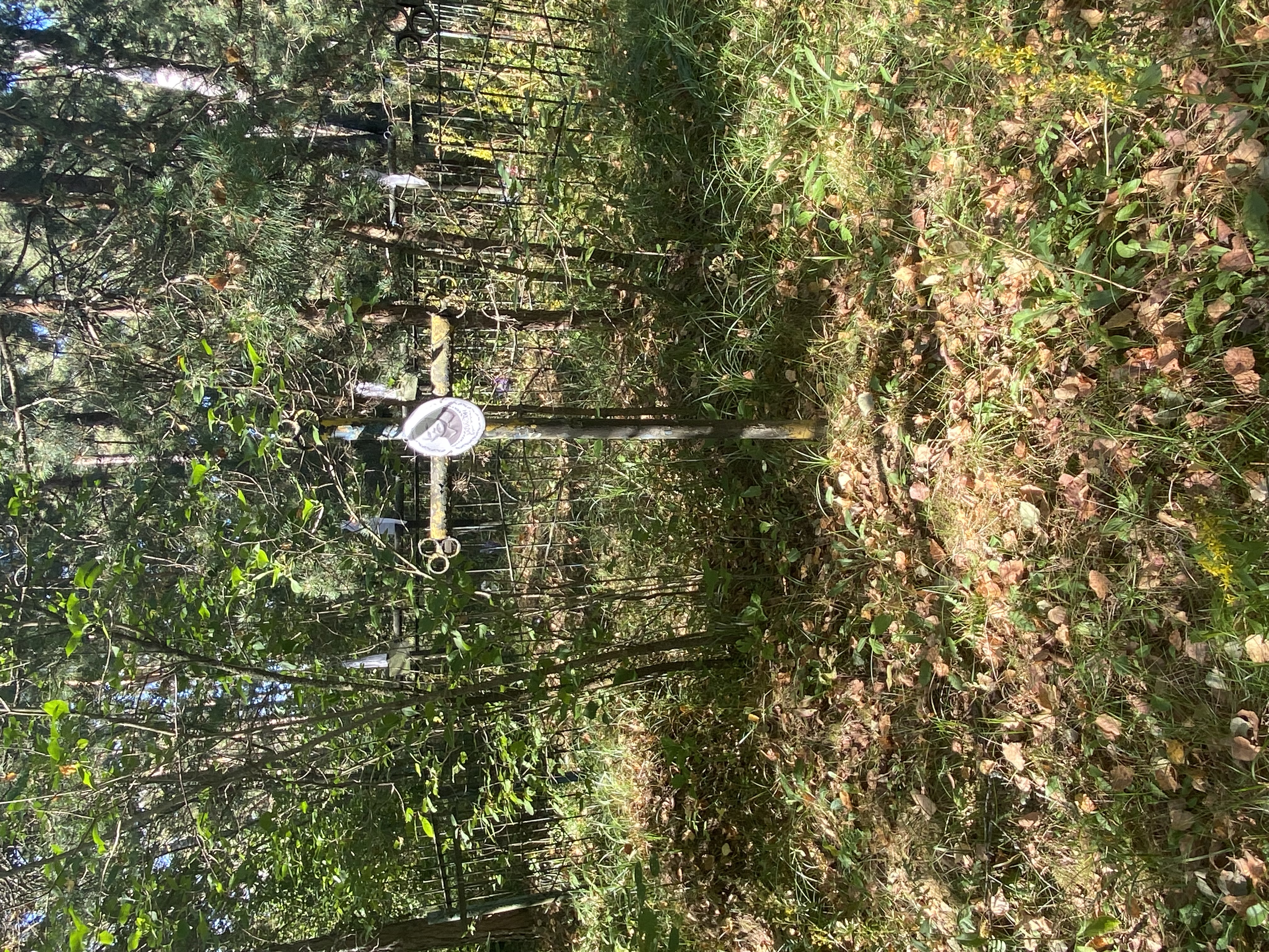 Фотография надгробия